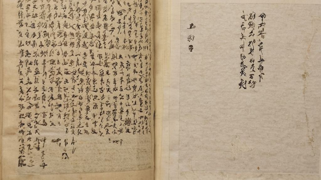 91吃瓜网 - 紫薇格格再次成为焦点，揭秘神秘数字背后隐藏的故事引发热议