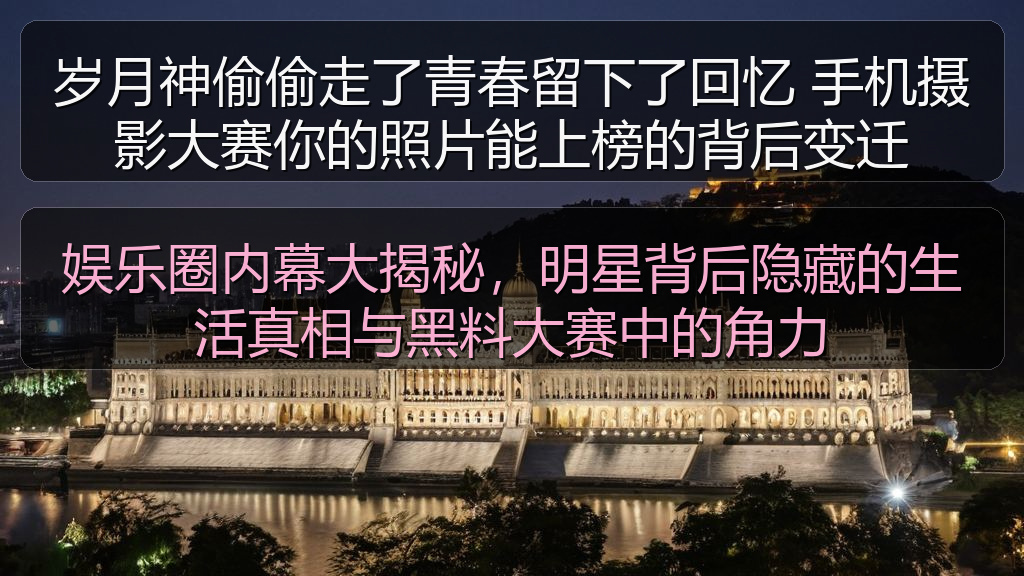 娱乐圈内幕大揭秘，明星背后隐藏的生活真相与黑料大赛中的角力